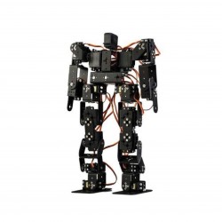 Metallic Humanoid
